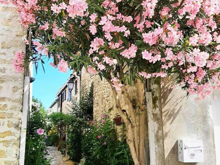 Delicieux Moment De Detente Au Coeur De Saint Martin De Re エクステリア 写真